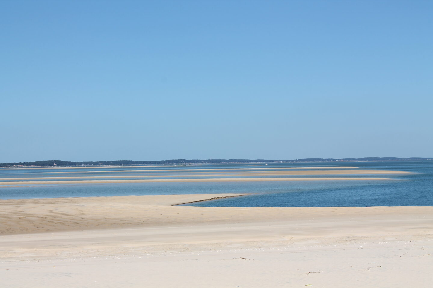 Visite guidée en kayak 3 Avenue du Banc d'Arguin La Teste-de-Buch 2026-04-09