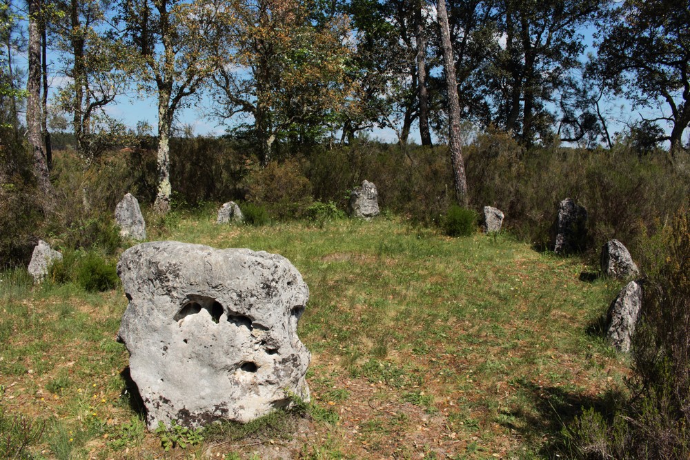 Visite guidée insolite les secrets de la forêt landaise Réaup-Lisse