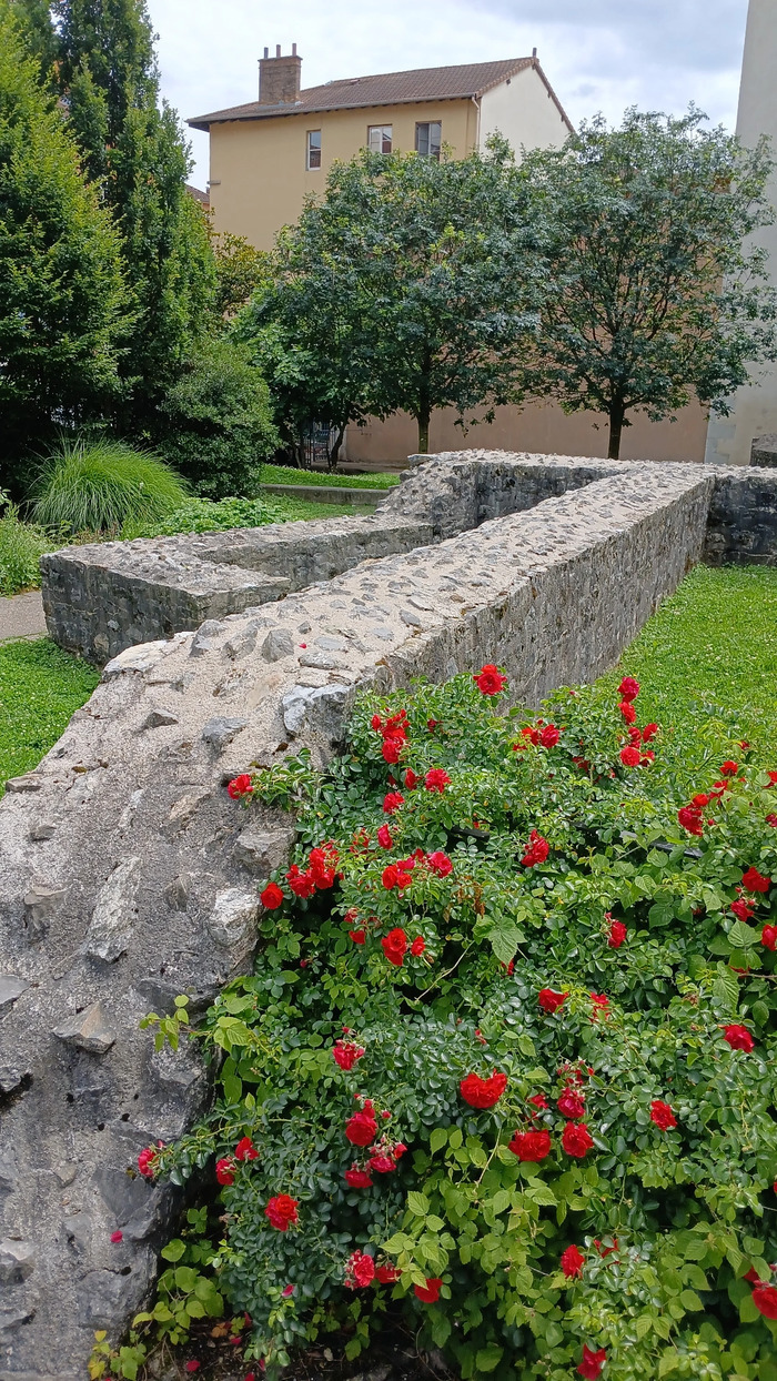 Visite guidée - Le jardin du musée Jardin du musée de l'Ancien Évêché Grenoble
