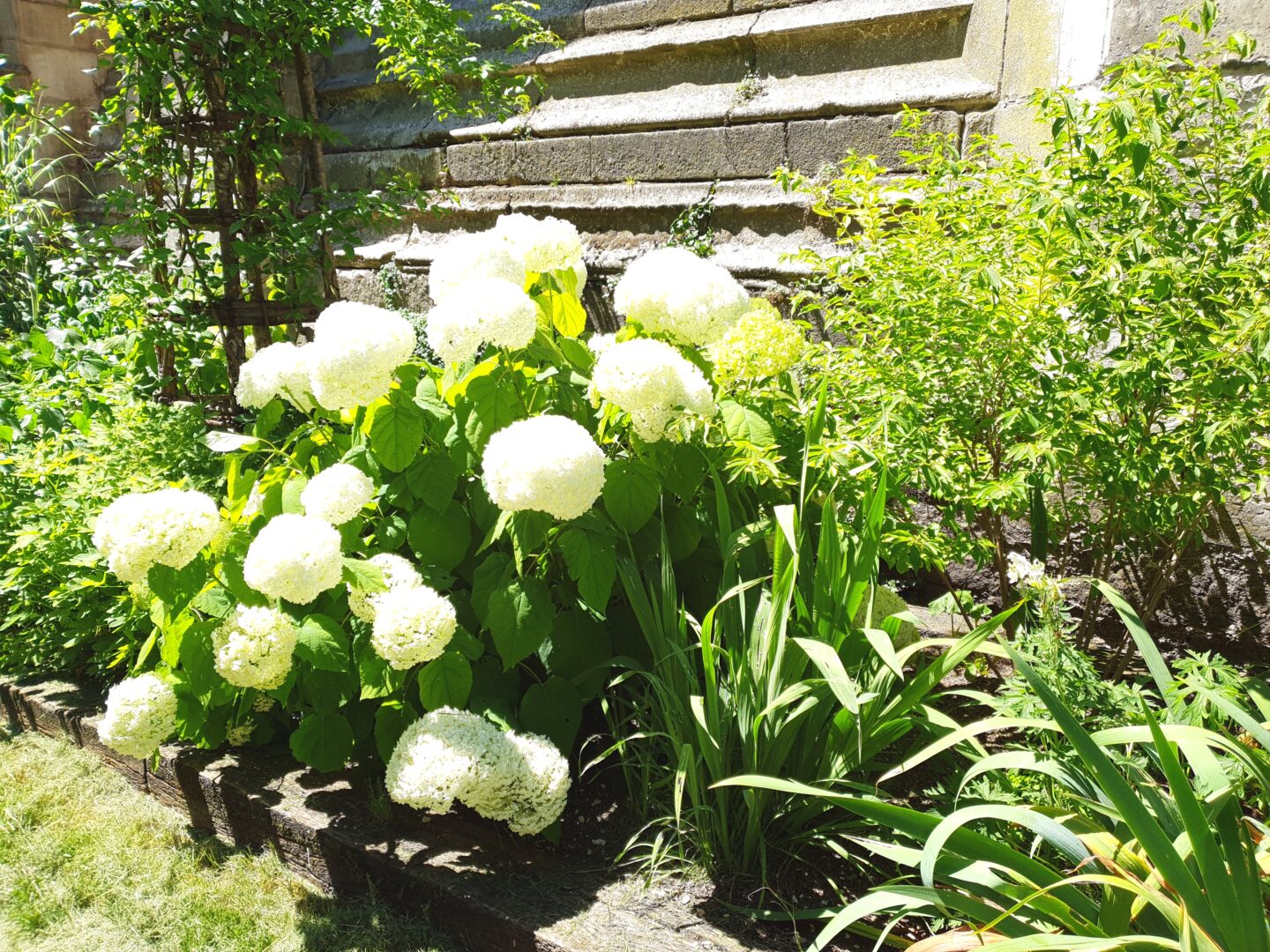 Visite guidée   Les jardins médiévaux  Troyes La Champagne Tourisme Troyes 2026-06-06