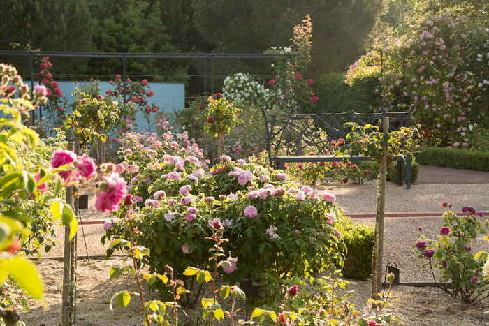Visite guidée sur les pas de la romancière Colette Les Jardins de Colette Varetz