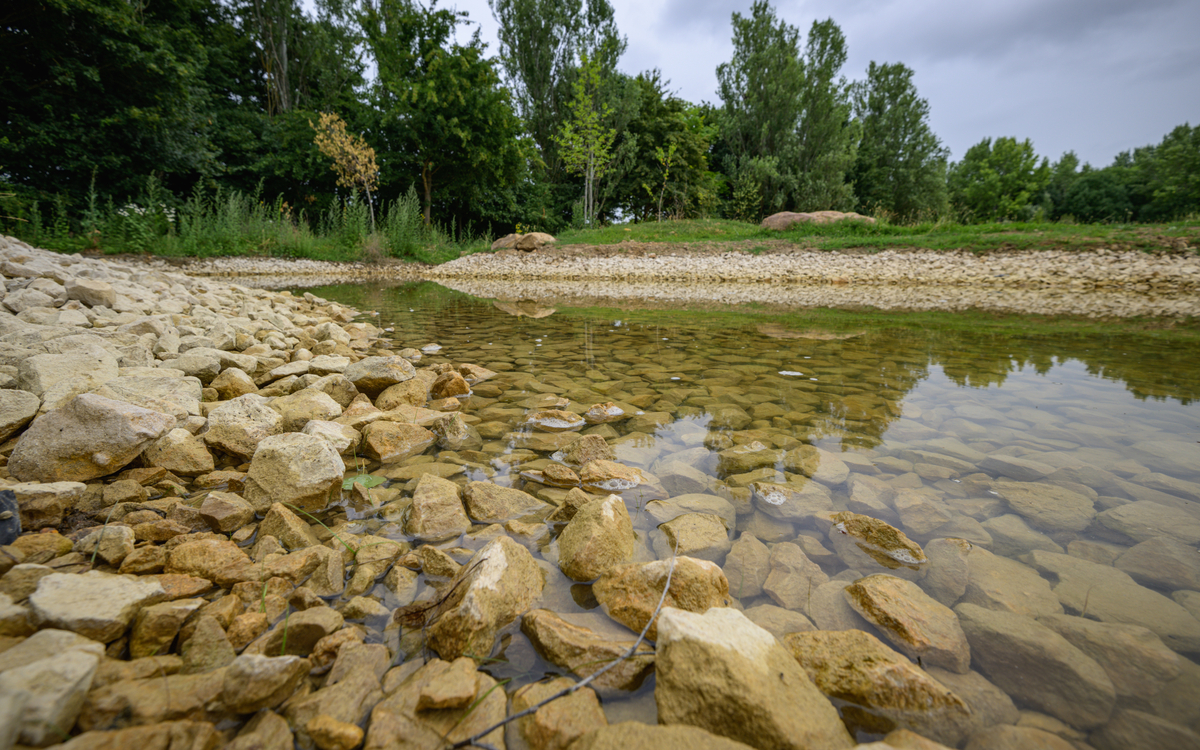 Visite La plaine Mortemart Ecole du Breuil Paris