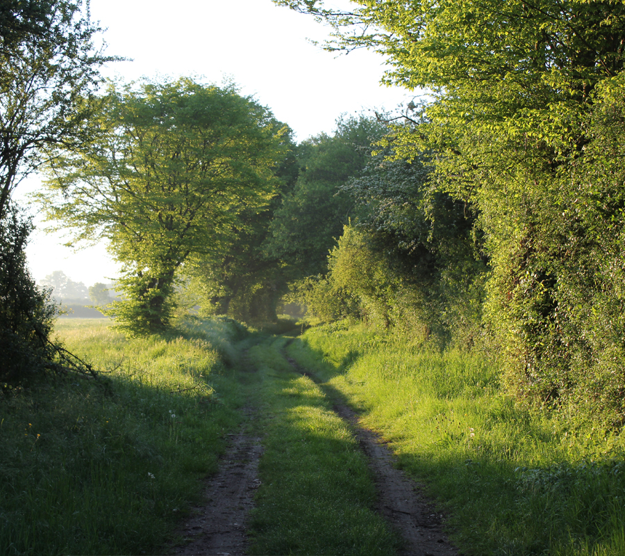Visite Le bocage aux aurores Noirlac Bruère-Allichamps 2026-06-14