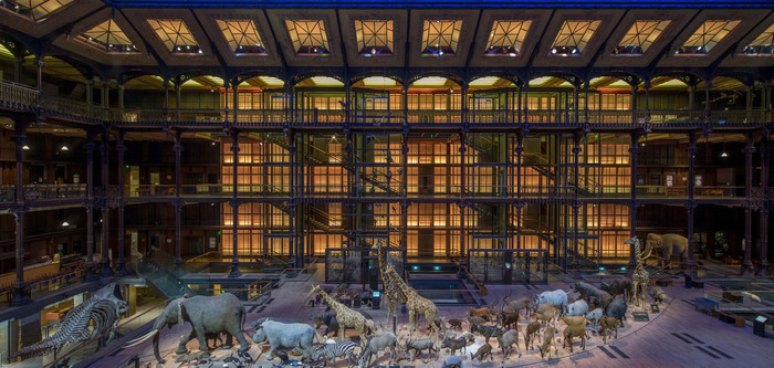 Visite libre de la Grande Galerie de l’Évolution Grande galerie de l'évolution Paris