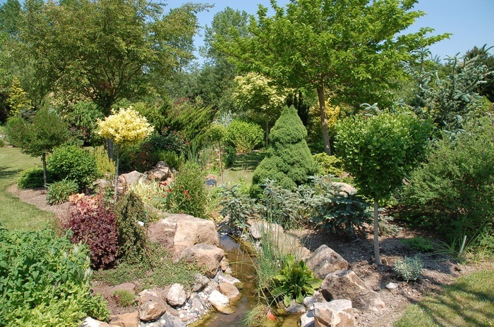 Visite libre ou guidée du jardin du Livon Jardin du Livon Longueville-sur-Aube