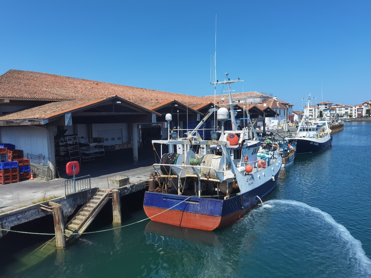 Visite Pays d’art et d’histoire Autour du port: paroles de femmes Mairie de Saint-Jean-De-Luz Saint-Jean-de-Luz 2026-04-08