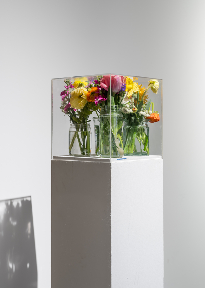 Visite Pollen - Autour des fleurs Capc Musée d'art contemporain de Bordeaux Bordeaux