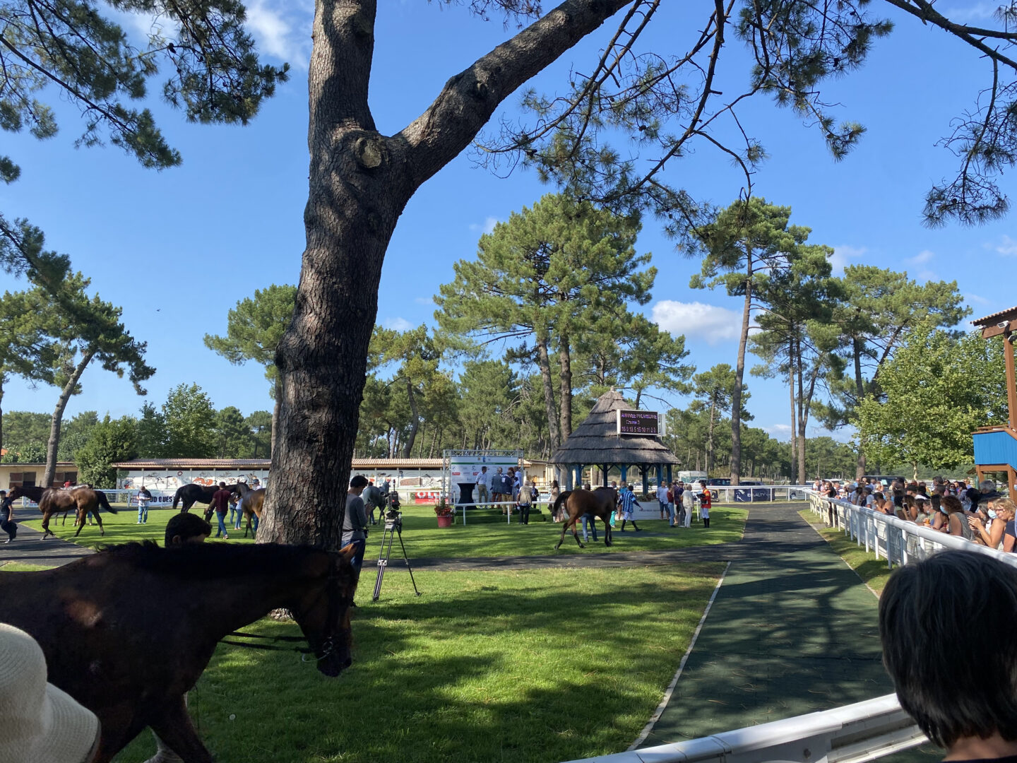 Visite privilège à l'hippodrome