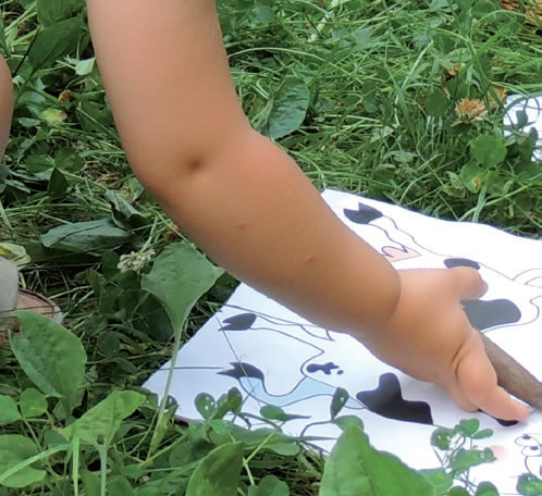 Visite sensorielle de la réserve Etang des Landes Lussat 2026-07-23