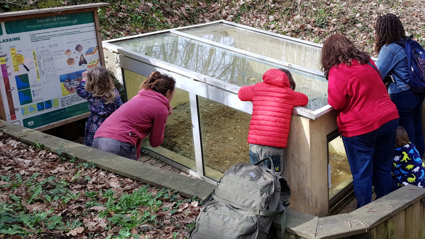 Voyage dans le passé Saucats Saucats