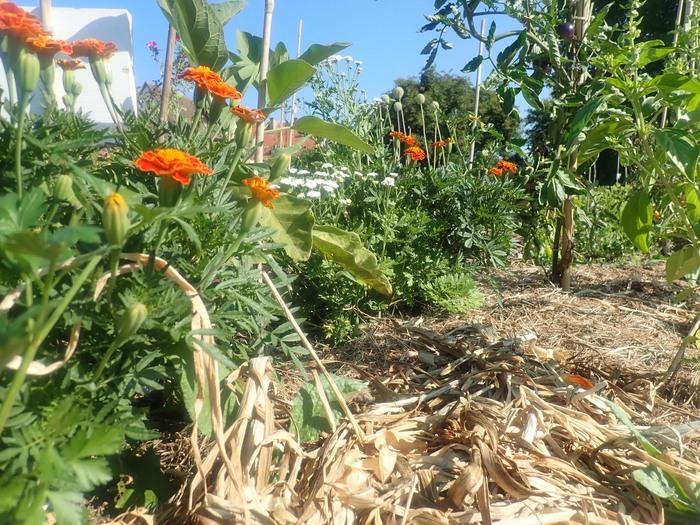 10 ans de Canop&rsquo;terre, Association Canop&rsquo;terre, Erstein