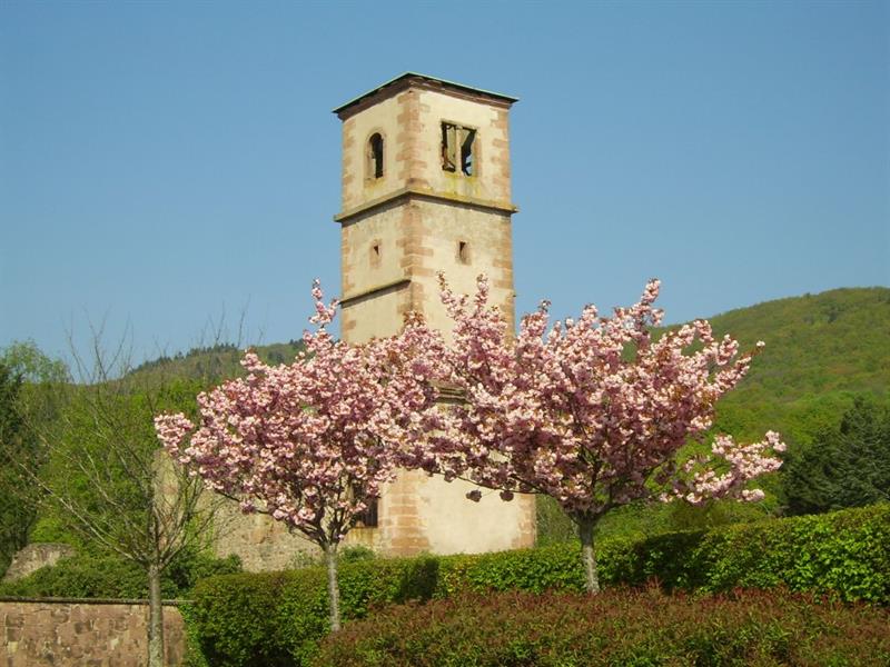 16ème marche du coucou  Leimbach
