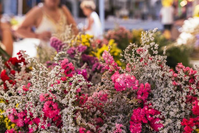3e Marché aux fleurs d’Alès, Halles de l&rsquo;Abbaye, Alès