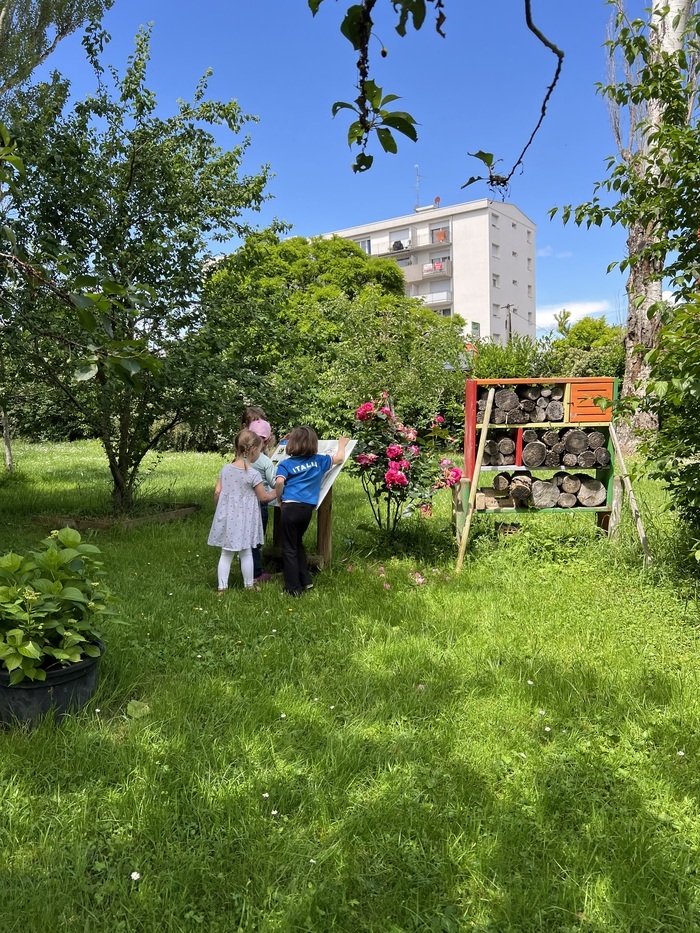 A la découverte de la biodiversité ordinaire ! Aux jardins de Francette Saint-Louis