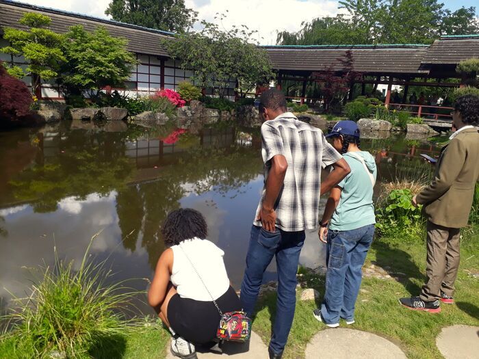 A la découverte de la flore de l&rsquo;île de Versailles Île de Versailles Nantes