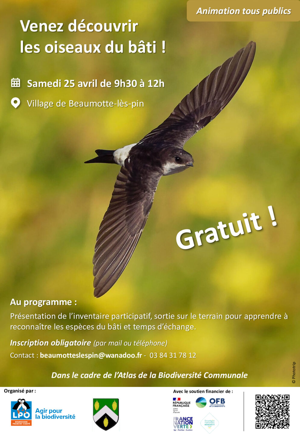 A la découverte des oiseaux du bâti  Beaumotte-lès-Pin 2026-04-25