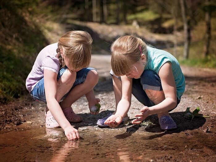 A la découverte des petites bêtes du ruisseau Lac Terre d'Auge Pont-l'Évêque