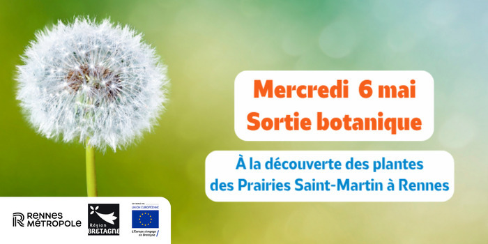 À la découverte des plantes communes des Prairies Saint-Martin Prairies Saint-Martin Rennes