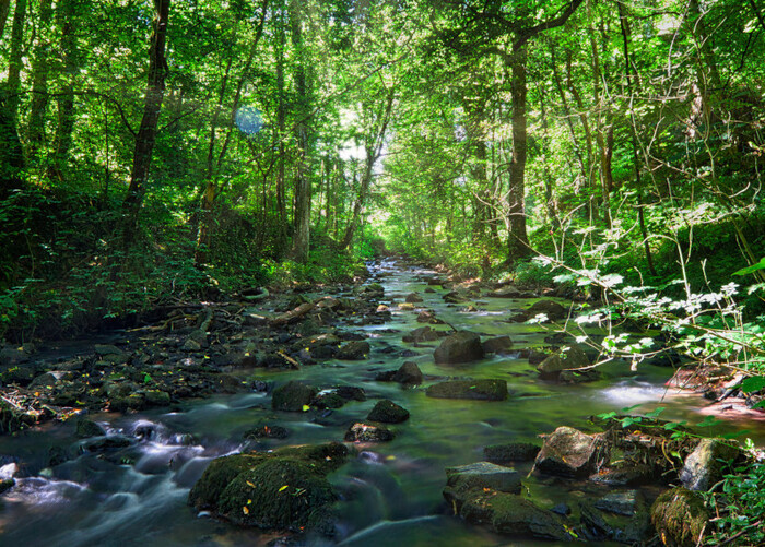 A la découverte des p&rsquo;tites bêtes du Laizon, Parking de l&rsquo;Église, Soumont-Saint-Quentin