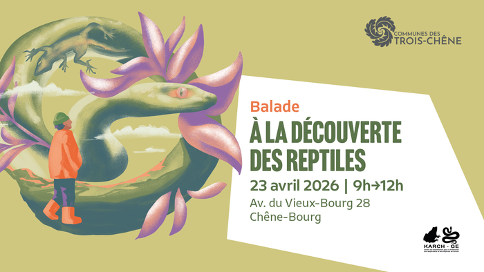 À la découverte des reptiles, Vieux-Bourg, Genève