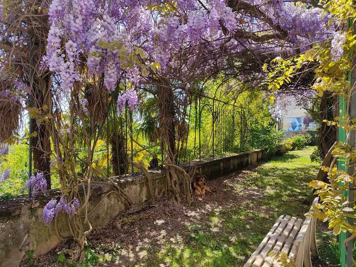 À la découverte du jardin de la Sablière