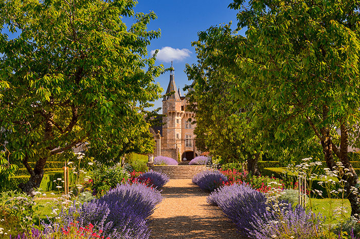 A la découverte du patrimoine naturel du domaine Château de Talcy Talcy