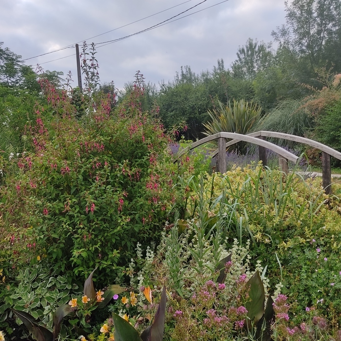 À la découverte d’un jardin naturel d’inspiration anglaise, Le jardin de Nadia, Hautefage-la-Tour