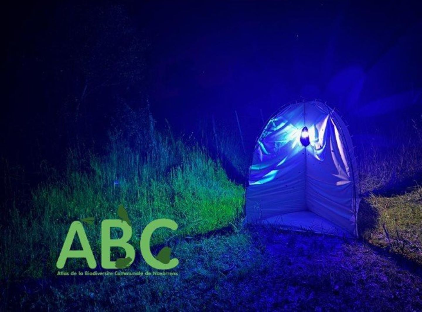 À la recherche des papillons ! parking Moto Cross Navarrenx