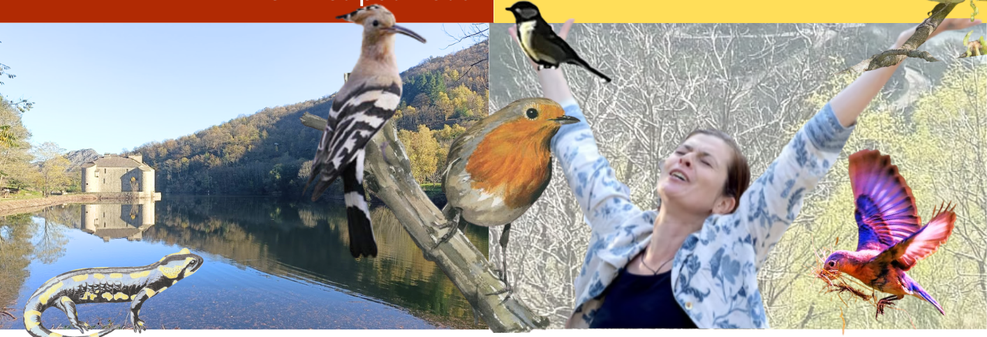 ABC EN FÊTE Château de Castanet Pourcharesses