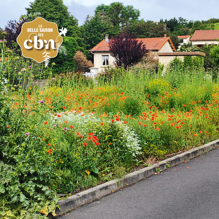 Accueillir la biodiversité : les plantes sauvages à votre porte – Haute-Loire, Château de Chavaniac-Lafayette, Chavaniac-Lafayette