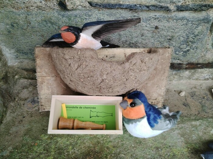 Accueillir les hirondelles, Abbaye de Bon-Repos, Bon Repos sur Blavet