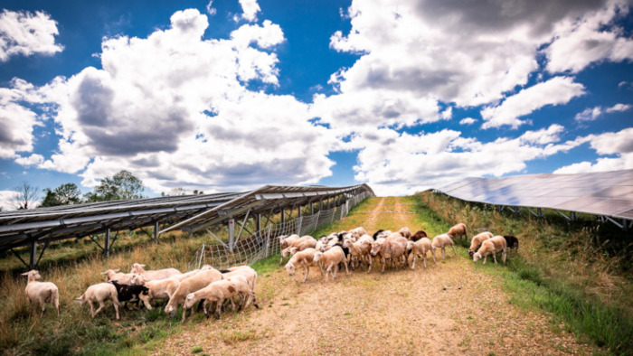 Agrivoltaics: definition, challenge and implementation – A multidisciplinary and international approach, Youth Hostel Ty Al Levenez, Saint-Malo