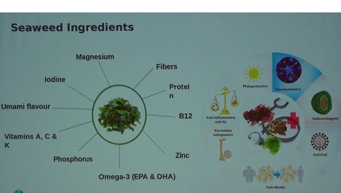 Algues et plancton : fondement du vivant et solution pour son avenir, Espace 3DD du Grand Genève, Genève