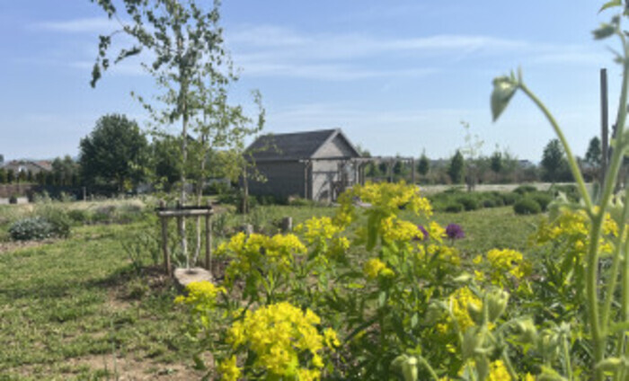 Allée au printemps, Alej na Prameni, Nitra