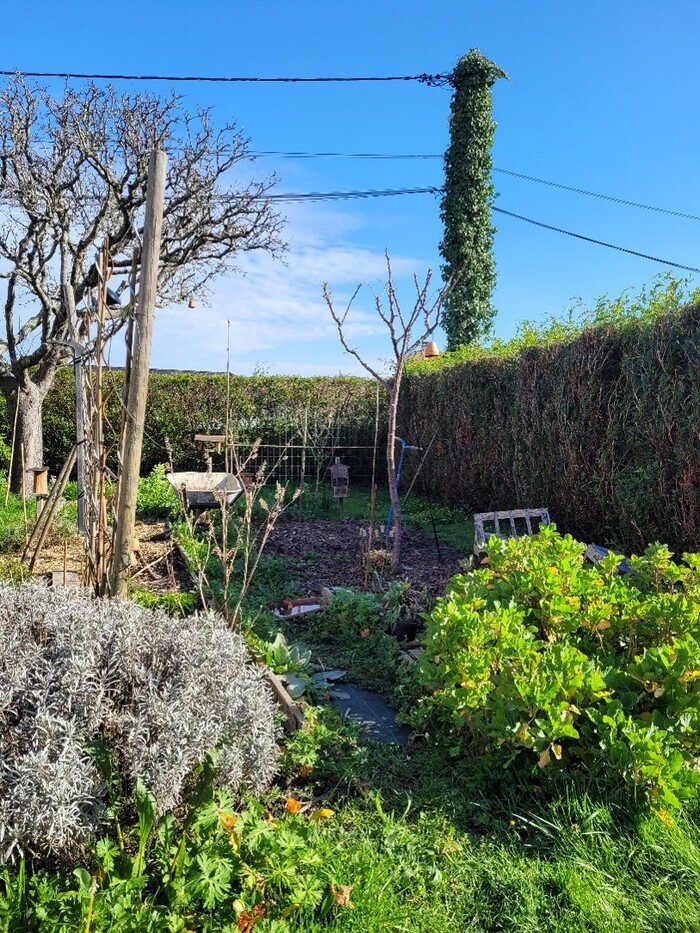 Aménager son espace pour accueillir la biodiversité avec La LPO, Maison écocitoyenne, Bordeaux