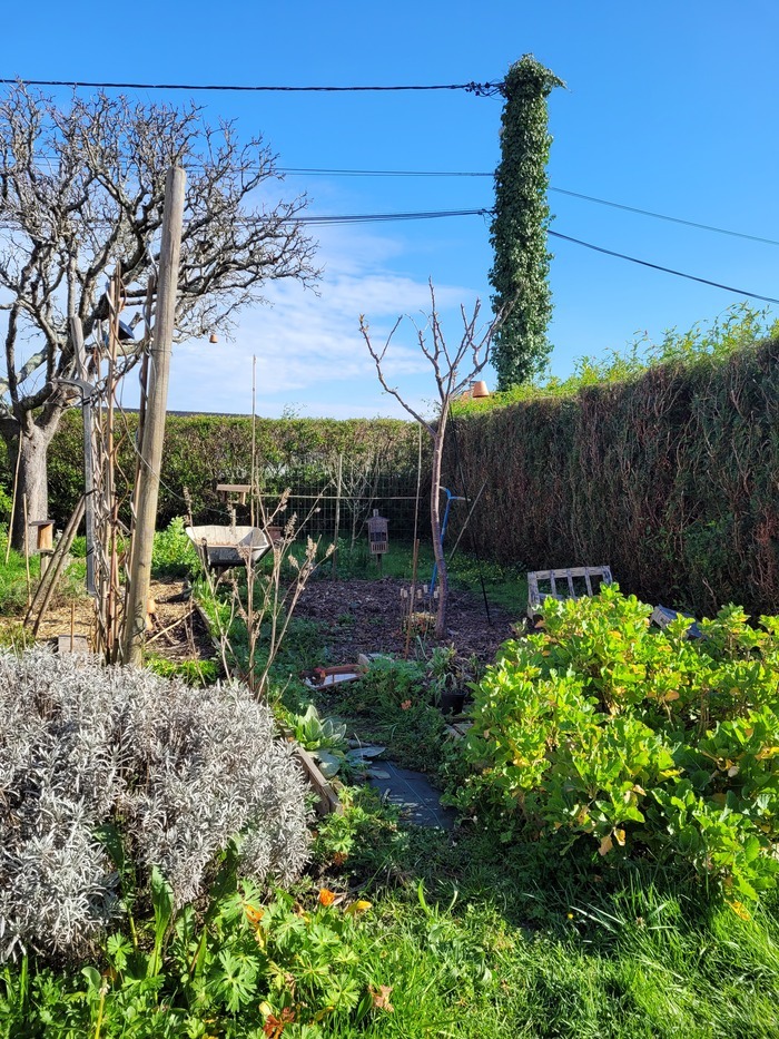 Aménager son espace pour accueillir la biodiversité, Maison Eco-Citoyenne, Bordeaux