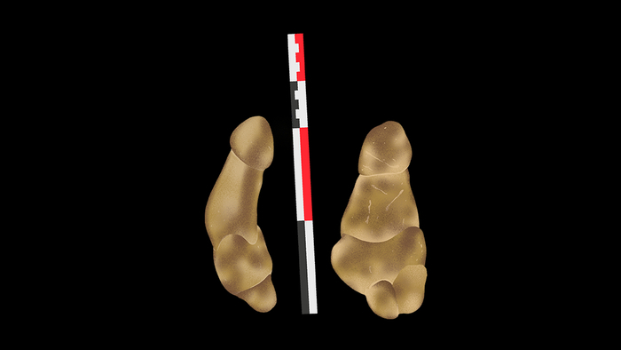 Anachronique paléolithique ! Portrait #02 Gwen, Scène de Recherche ENS Paris-Saclay, Gif-sur-Yvette