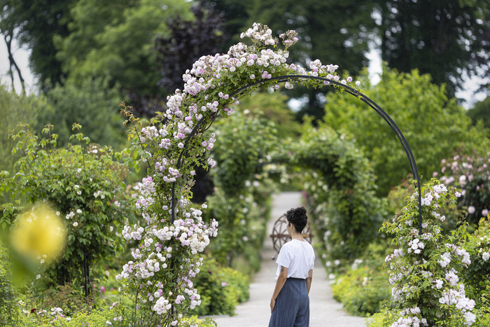 Animation jeune public : atelier “ À la loupe ! : observer la nature autrement " Centre d'art contemporain de la Matmut - Daniel Havis Saint-Pierre-de-Varengeville