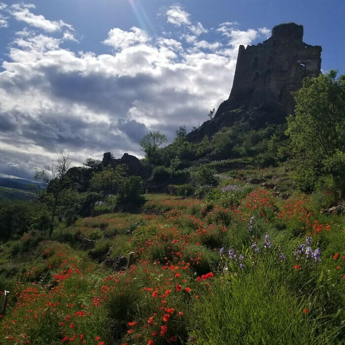 Api-terrasses vues par les abeilles, Les Terrasses de Léotoing, Léotoing
