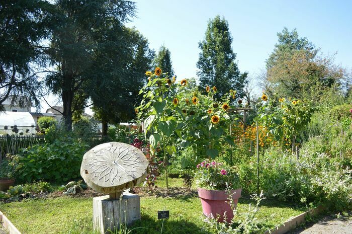 Apprendre à voir autrement Jardin-verger Conservatoire Assat