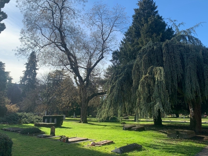 Arbres remarquables et sépultures célèbres, Cimetière, Genève