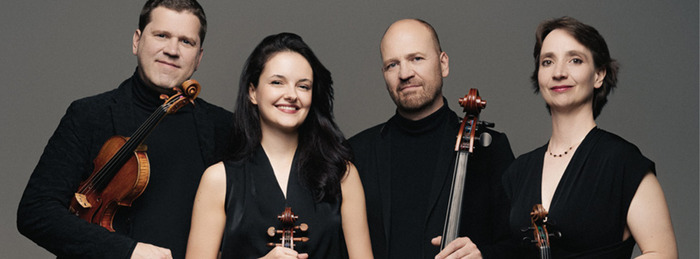 Archets et banderilles Opéra de Lille Lille