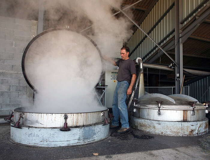 Aroma Plantes Aroma'Plantes Sault