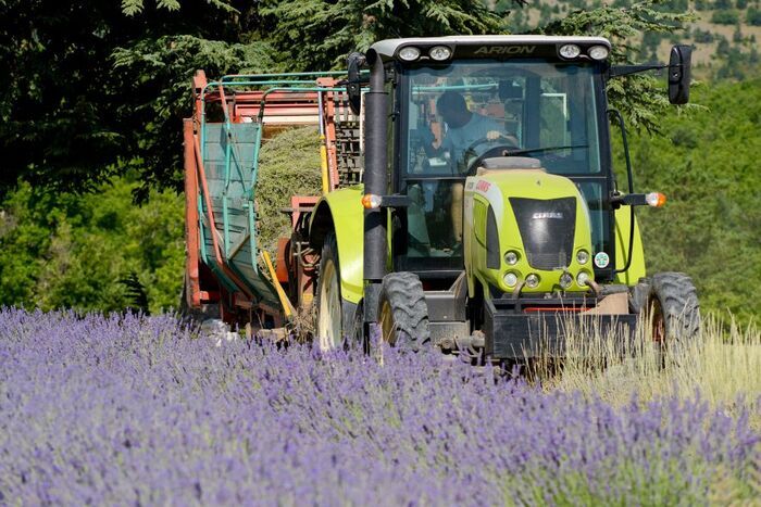 Aroma'Plantes Aroma'Plantes Sault