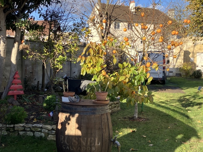 Art au jardin : visite libre du jardin Beau Soleil Jardin Beau Soleil Lion-sur-Mer