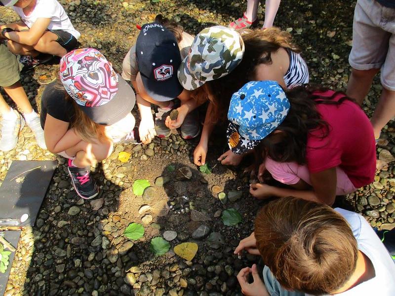 Art thérapie & Nature propose Les Ateliers du lien  Soultzbach-les-Bains