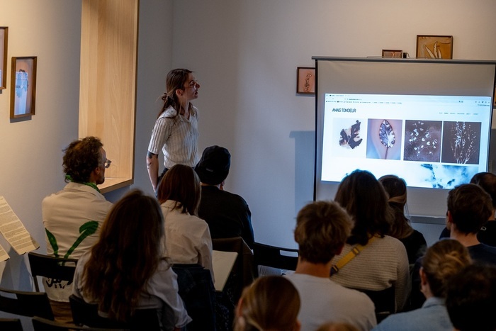 Arts x Sciences : être autochtone en ville ?, Stimultania, Strasbourg