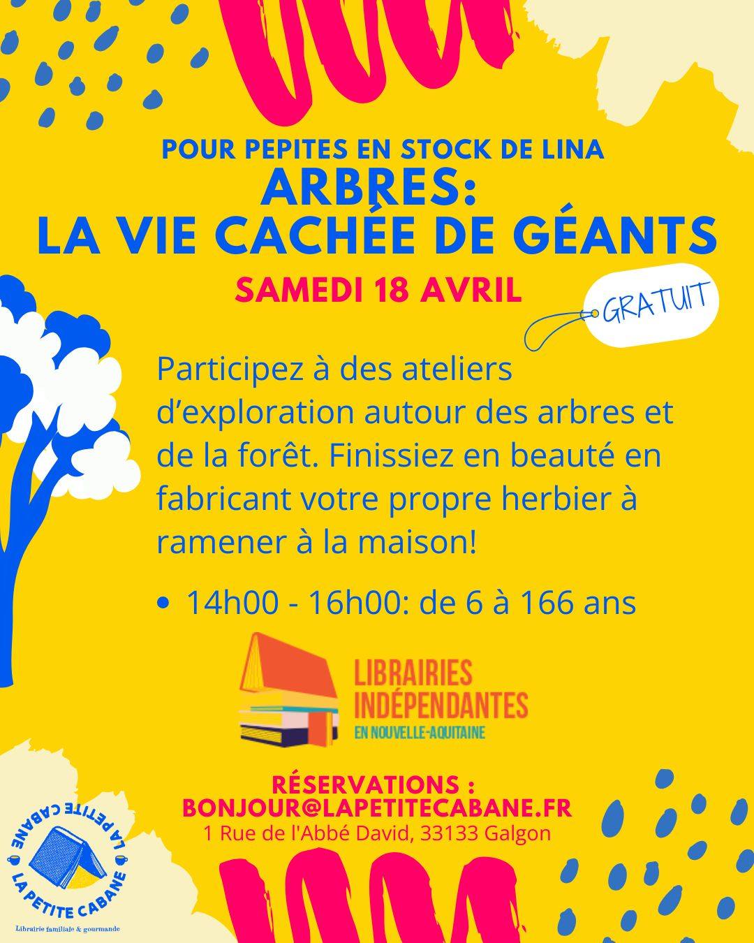 Atelier Arbres la vie cachée de gréants à la Petite Cabane Rue de l&rsquo;Abbé David Galgon