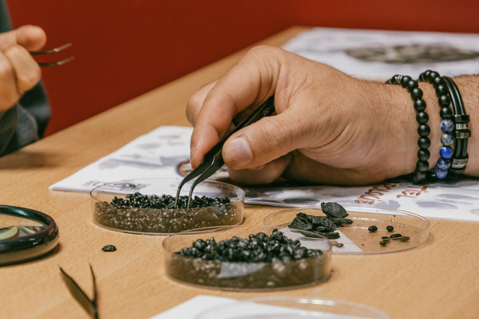 Atelier « Archéos au labo ! » en famille ou entre amis, Musée Archéologique de la Bataille de Gergovie, La Roche-Blanche