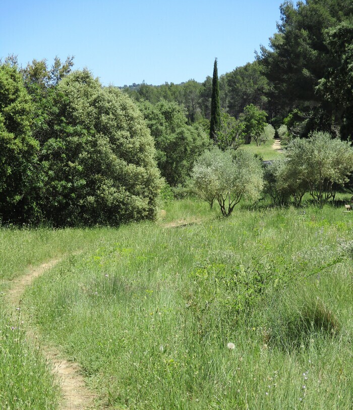 Atelier-balade : Le chemin qui n&rsquo;existait pas, Écomusée départemental des 4 Frères, Le Beausset